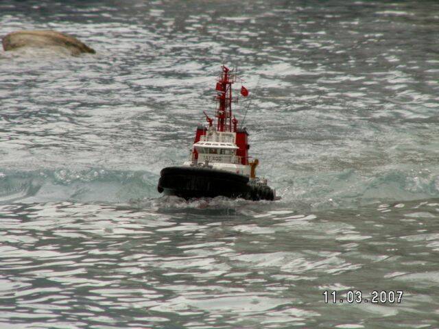 PICT0203a.jpg