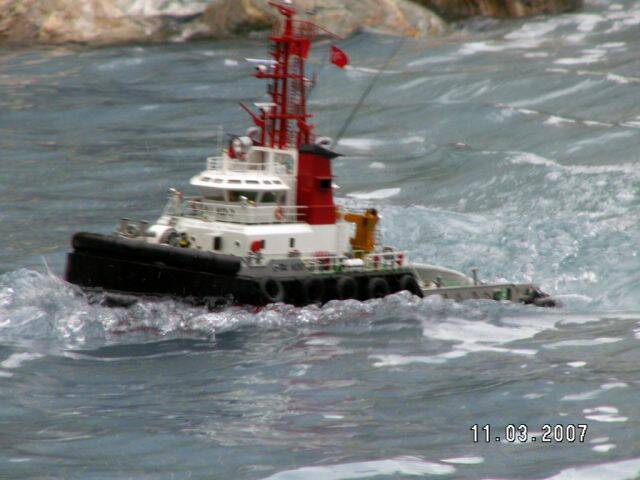 PICT0204a.jpg
