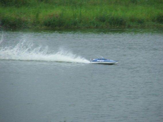 VenomCCDSCF0978-2.jpg