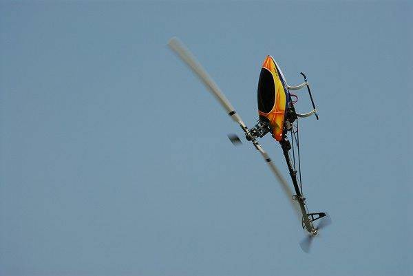 _DSC1230_ngCkwEnwOp9i.jpg