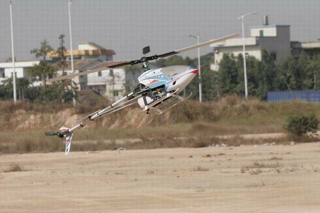 _MG_2215.jpg