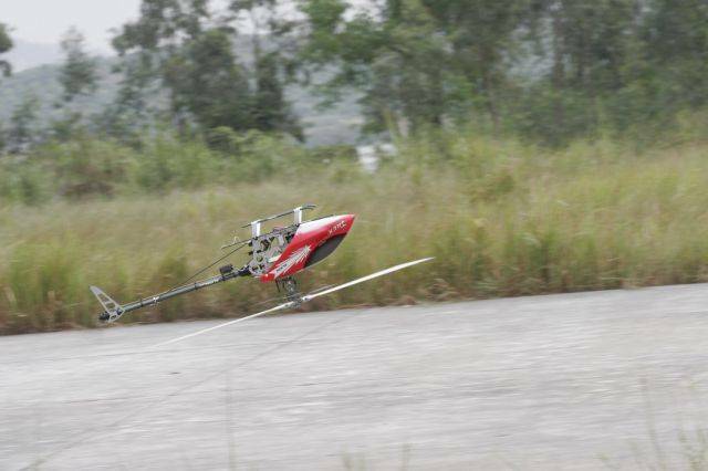 _MG_4054.jpg