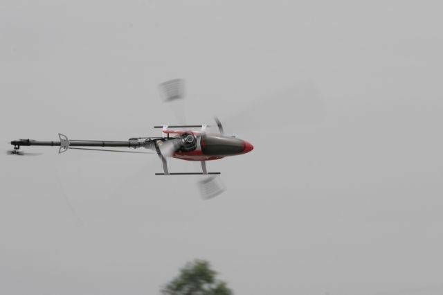 _MG_4070.jpg