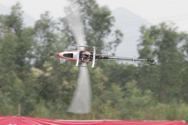 _MG_4072.jpg