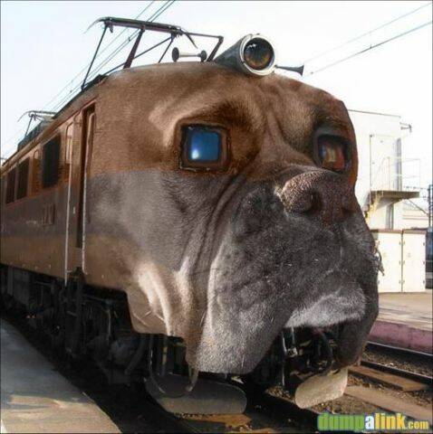 bUP59QrQ.jpg