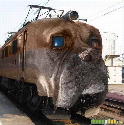 狗車頭