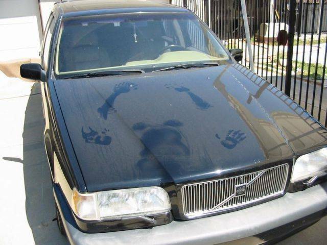 borrowedcar.jpg