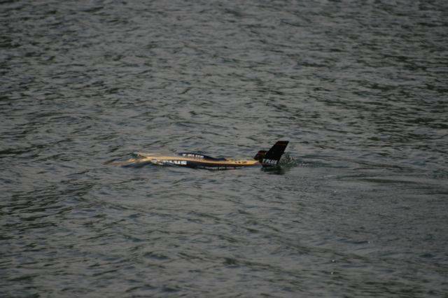 dive3_170.jpg