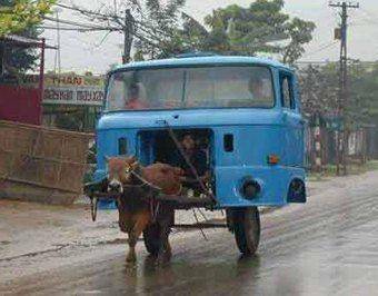 donkey-power.jpg