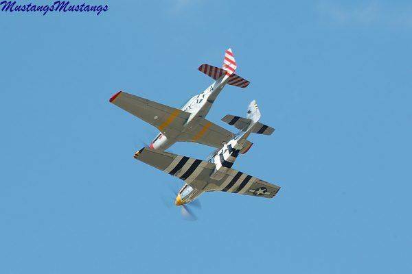 dualmustangs5.jpg