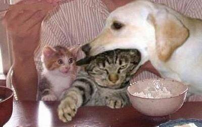 eat.jpg
