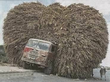 loaded-truck.jpg