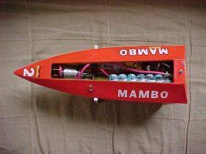 mambo1.jpg