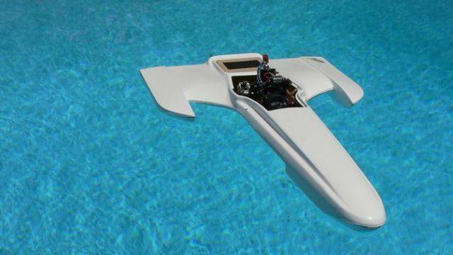 mikeFCM_Canard.4.jpg
