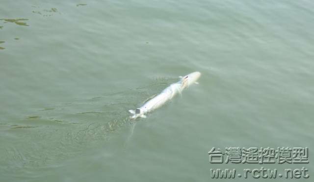 叛逃前的照片 3