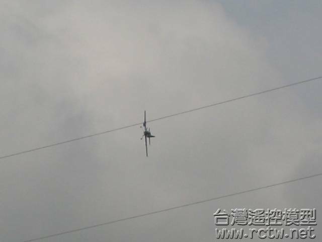 IMG_1593.jpg