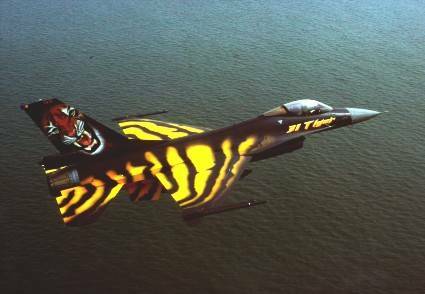 98tiger6_fzBXGA93vYed.jpg