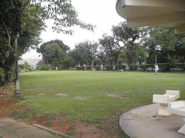 PIC_0133s.jpg