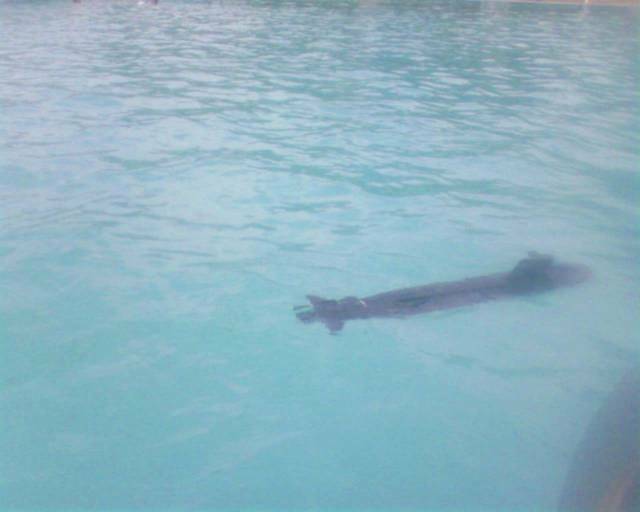 SP_A0128.jpg