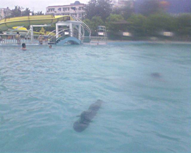SP_A0129.jpg