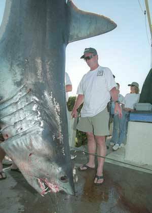 60658-coreprobeshark1.jpg