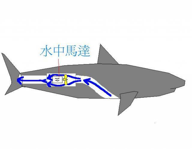 未命名.JPG