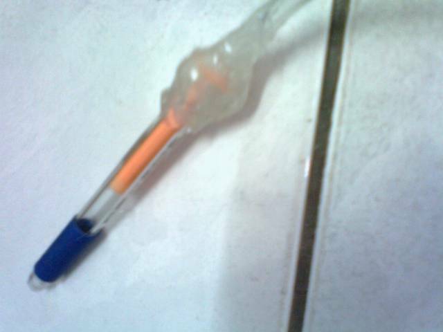 IMG0134A.jpg