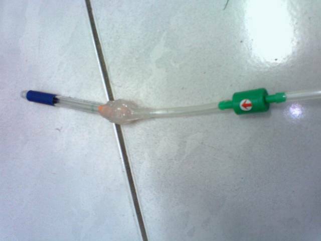 IMG0133A.jpg
