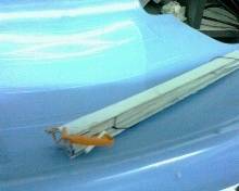 IMG0167A.jpg