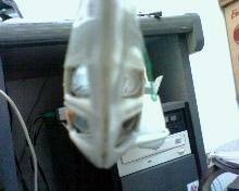 IMG0175A.jpg