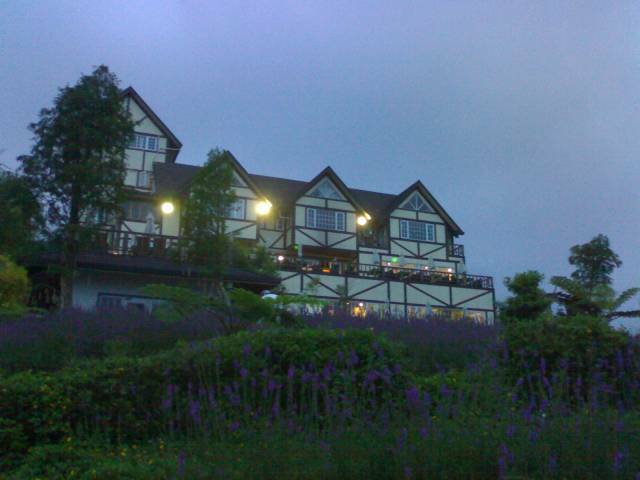 20070803190.jpg