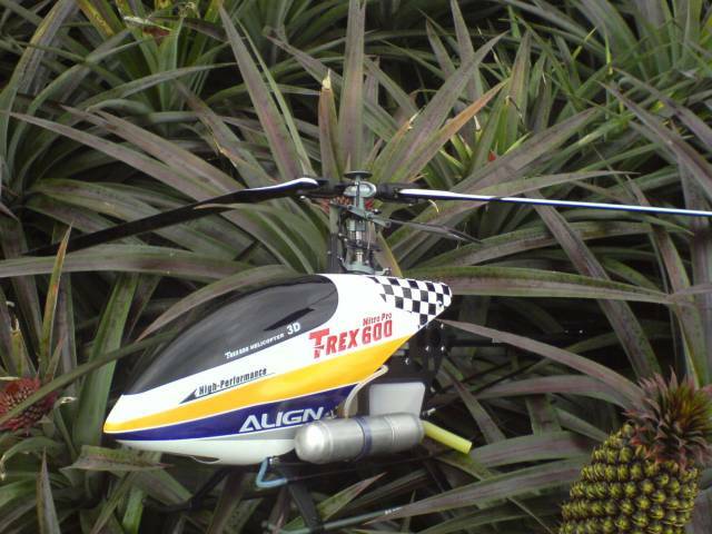 DSC00186.JPG