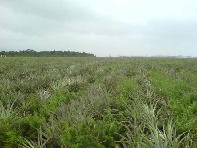 DSC00179.JPG