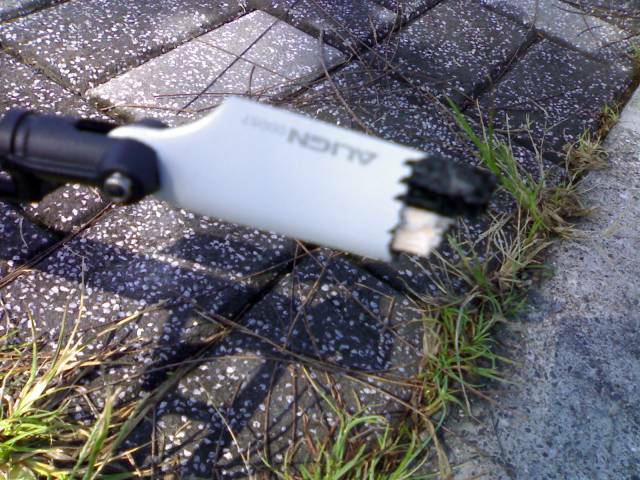 20070822350.jpg