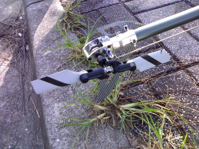 20070822352.jpg