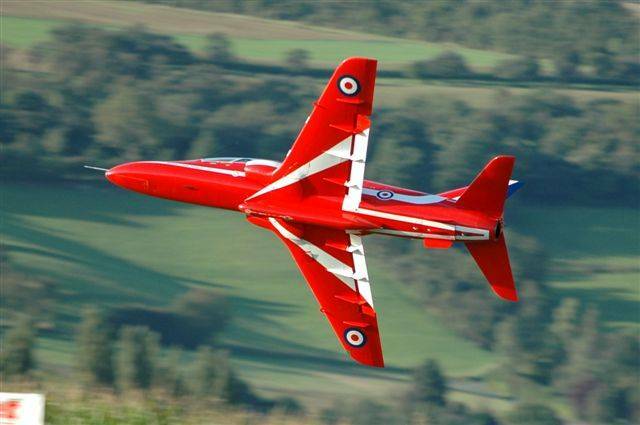 fly-T.jpg