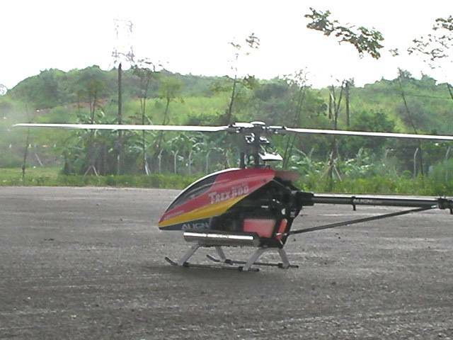 SANY0132.JPG