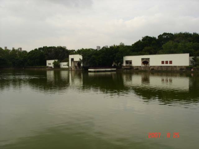 DSC04856.JPG