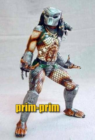 predator-4.jpg