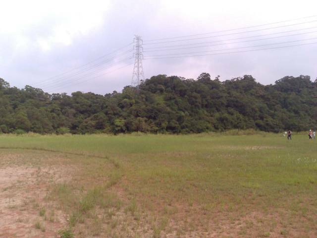 20070916477.jpg