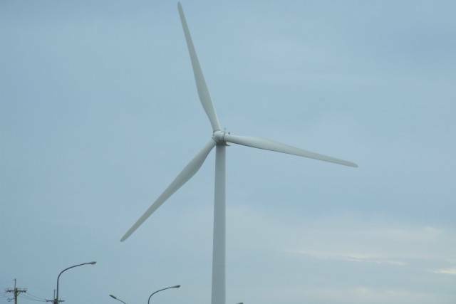 DSCF1475.JPG
