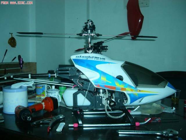 20060509142219651.jpg