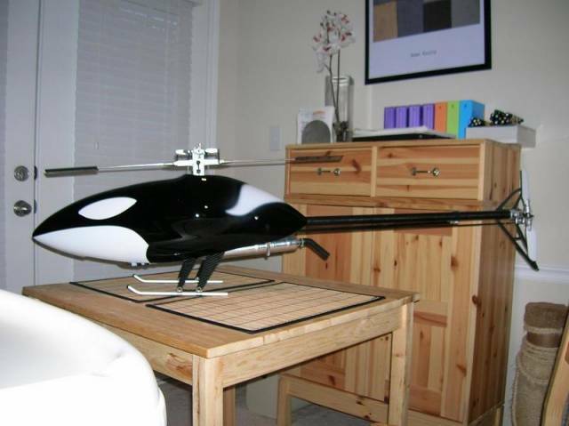 Orca3DNT1.jpg