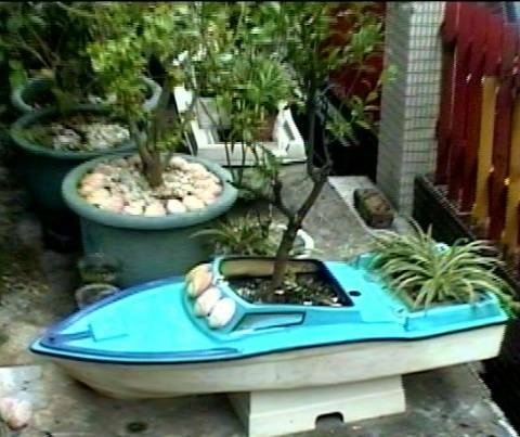 水上浮動植物園