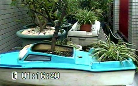 PDVD_034.jpg