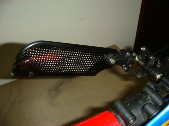 DSC00210.JPG