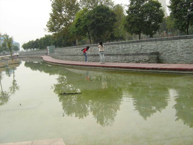 IMG_0907.jpg