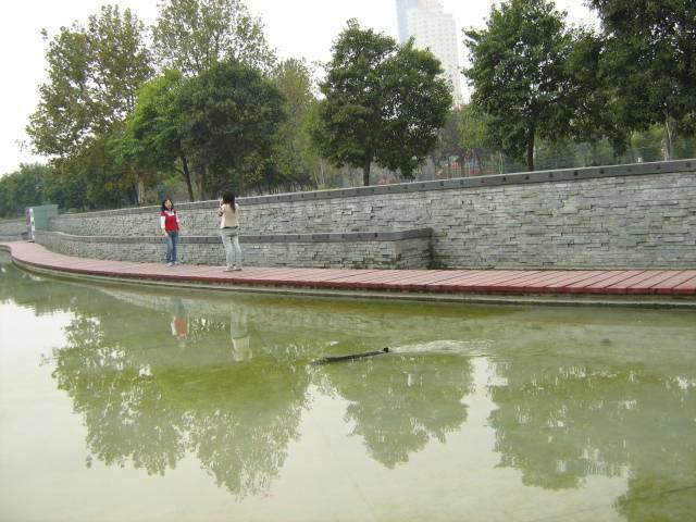 IMG_0905.jpg