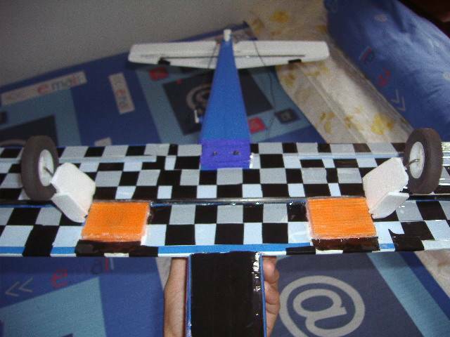 P1011599.JPG