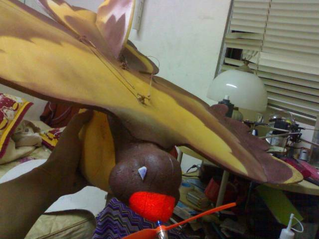 20071107514.jpg